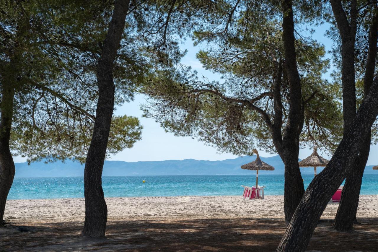 Ferrer Lime Playa De Alcudia