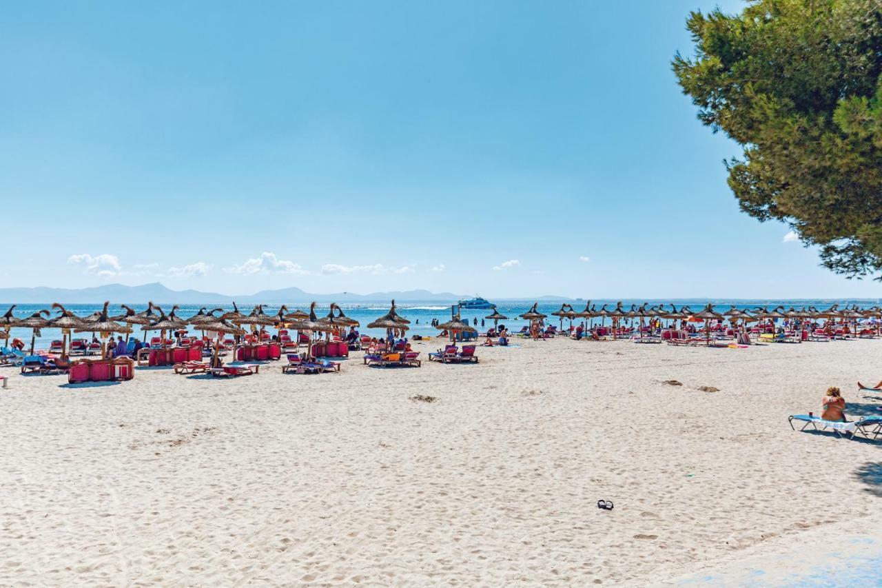 Ferrer Lime Playa De Alcudia * Port de Alcudia (Mallorca)